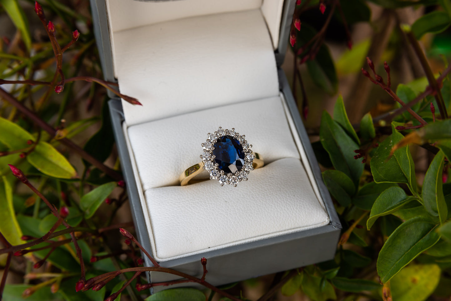 Sapphire And Diamond Cluster